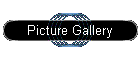 Picture Gallery